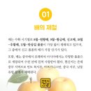 황금과일 이미지