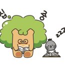 다다홈케어 이미지