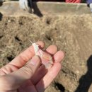 양평농장 이미지