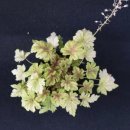 두리조경 이미지