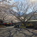 사계절산장 이미지