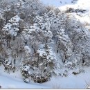 관음사 가는길 이미지