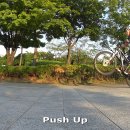 MTB 테크닉 - Push, Push Up 이미지