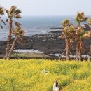 민구농장 이미지