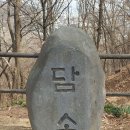 봉제산 둘레길 (2025.3.16) 이미지