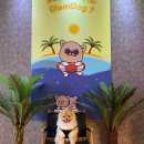 글램독 양양 이미지