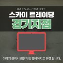 스카이트레이딩