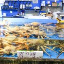 대명수산 이미지