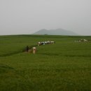 곡성-195 이미지