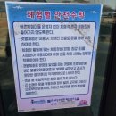 함평군 돌머리캠핑장 | 놀 거리 너무 많은 함평 돌머리 해수욕장, 새우깡으로 갈매기 가까이서 만나기, 바다산책 최강바다 찐 후기