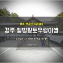 조박사웰빙쌈밥집 | 경주 현곡 쌈밥 맛집 : 웰빙황토우렁이쌈밥 황우쌈