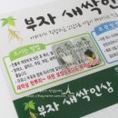 장성 부자새싹인삼