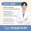 [파주] 다율동 동물병원 추천 강아지 건강검진 꼼꼼했던 예든동물의료센터 후기