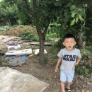 하양초등학교화성분교장 이미지