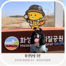 지질공원탐방센터 | [미요의 화성탐방 ①] 1억 년의 시간을 걷다 — 화성국가지질공원 반려견 동반 후기