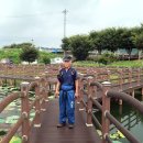 김화생활체육공원(축구장) | DMZ 평화의길 17코스 남대천교~와수리 세월교