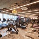 짐앤골프 이미지