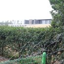 돔베낭골 이미지