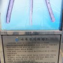 나무전거리 이미지