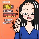 크림스크람스 - 안양시 동안구 | 크림스크람스