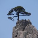 석송한의원 네이버블로그