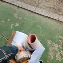 레드라볶이찜닭 | Doby is free. . . (May to July)