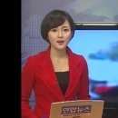 2010년 교통신호위반 단속강화에대한보도 동영상 이미지