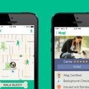 웨그(Wag) 이미지