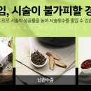 애일한의원 네이버블로그