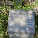 대가옥 | 경주 양동마을