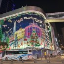 명동역 맛집 꽁시면관 본점, 부드러운 어향가지 내돈내산 후기