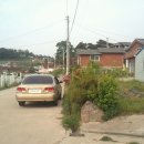 이기철농장 이미지