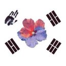 아리랑휘트니스 이미지