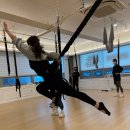 분당-138 이미지