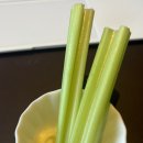 카페GY지요 | [중국 시안 출장 21주차] GY 근무 주간 비즈공장 가동