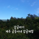 호양농장 이미지