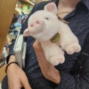 아이파크 PC방 이미지