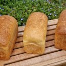 까치꽃 반찬 이미지