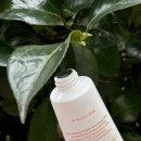 사계절약국 | 사계절 보습크림, 하나만 고른다면? 루오드 토탈케어 데일리크림&amp;수분리페어미스트 솔직후기