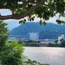 원통초등학교 | 인제 라포레 아파트 (분양 임박)