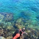 오션힐파크 호텔펜션 이미지