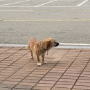 금평마트 이미지