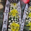 플렌케 이미지