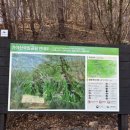 만물상 | 가야산 만물상 코스 후기 | 백운동 원점회귀