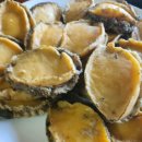 황칠문화연구소