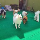 파란하늘유치원 이미지