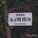 계동마을 Daum카페