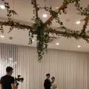 프리투플라이