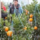 제주의료원부속요양병원 이미지