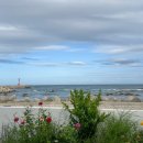 금두꺼비 민박 이미지